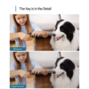 Anker Eufy Indoor Cam 2K Pan & Tilt EU - Image 6